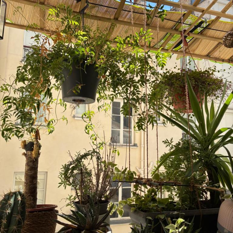 Charming flat, Saint-Germain & Luxembourg - Appartement 1 Chambre - 3