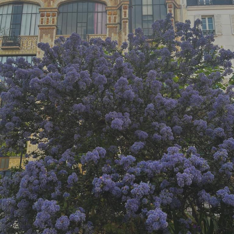 Charming flat, Saint-Germain & Luxembourg - Appartement 1 Chambre - 6