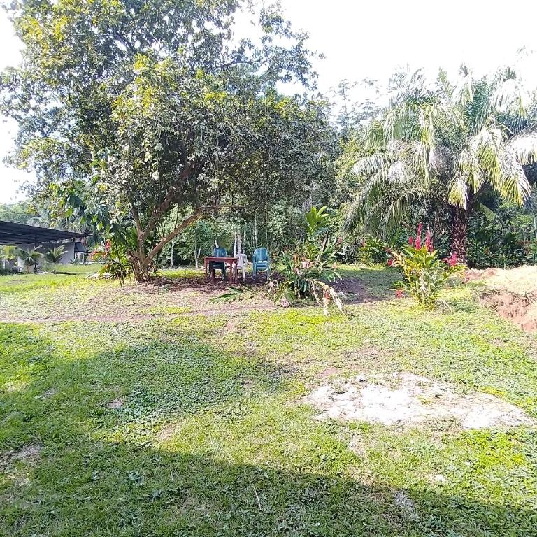 Bungalows Paraíso Encantado - One-Bedroom Apartment - 11