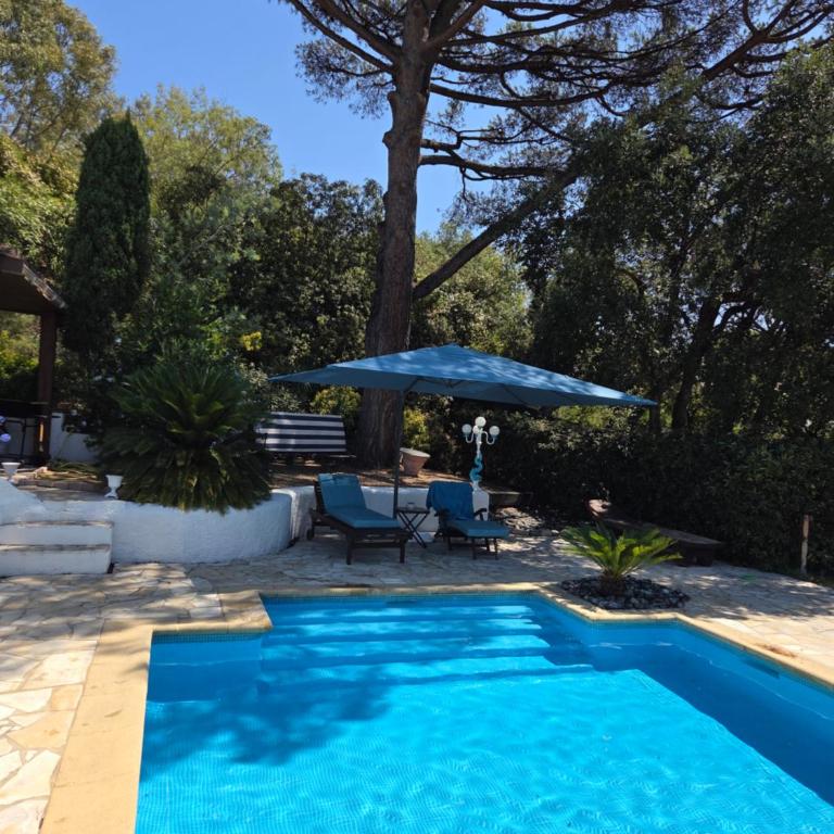 Villa Provençal StTropez Ramatuelle Pampelonne beach - Superior Villa - 15