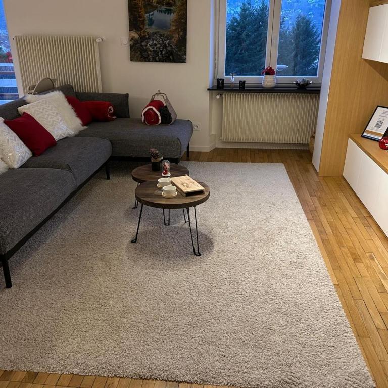 Appartement 9 personnes - Sauna - Centre-ville - Appartement 3 Chambres - 33