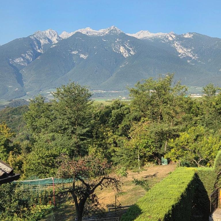 Casa Elda - Appartamento Deluxe con 2 Camere da Letto e Vista Giardino - 15