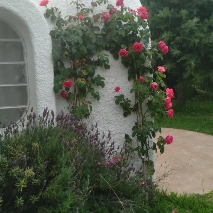 Refugio de la sierra - Casa de 3 dormitorios - 90