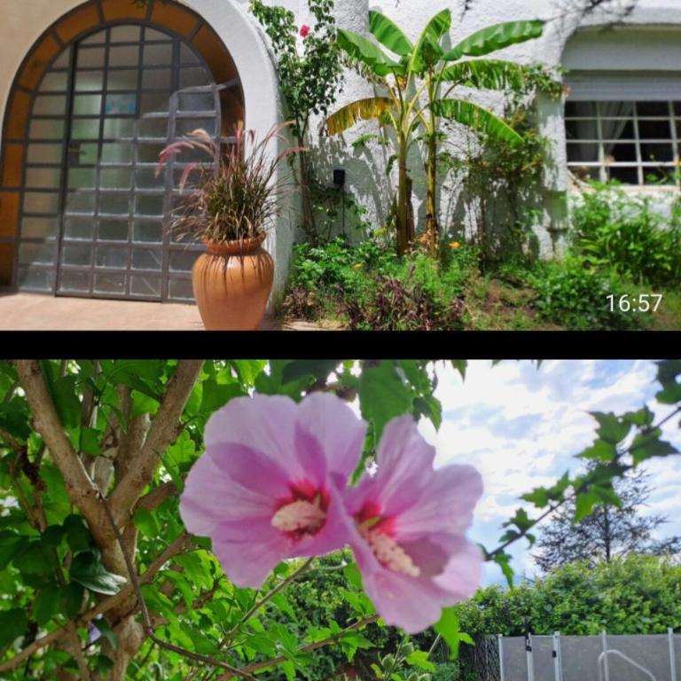 Refugio de la sierra - Casa de 3 dormitorios - 91