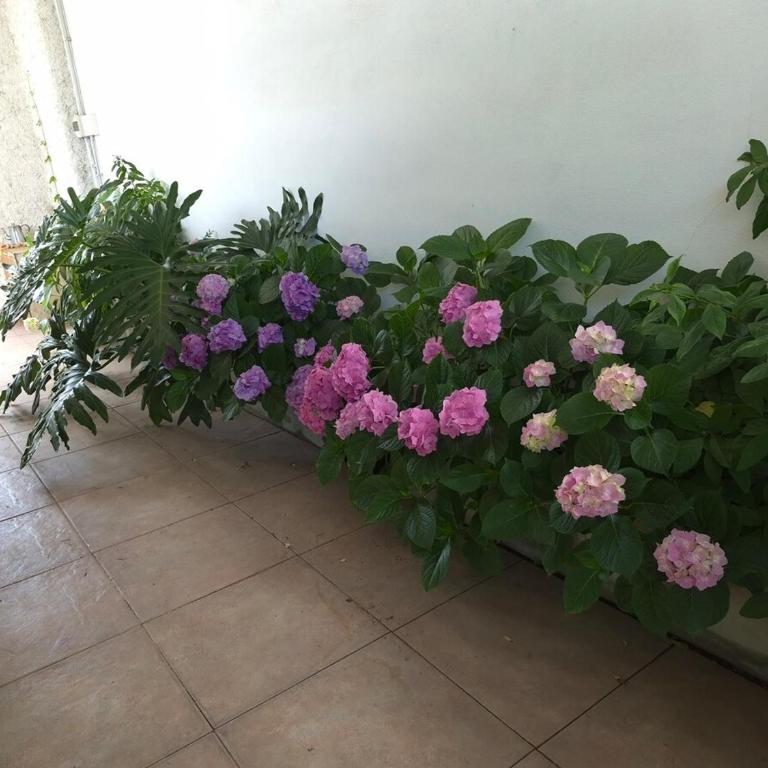 Refugio de la sierra - Casa de 3 dormitorios - 100