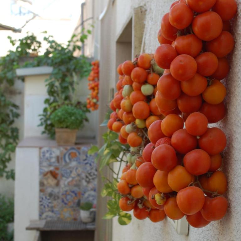 Appartamento in masseria a Porto Cesareo - Two-Bedroom Apartment - 14