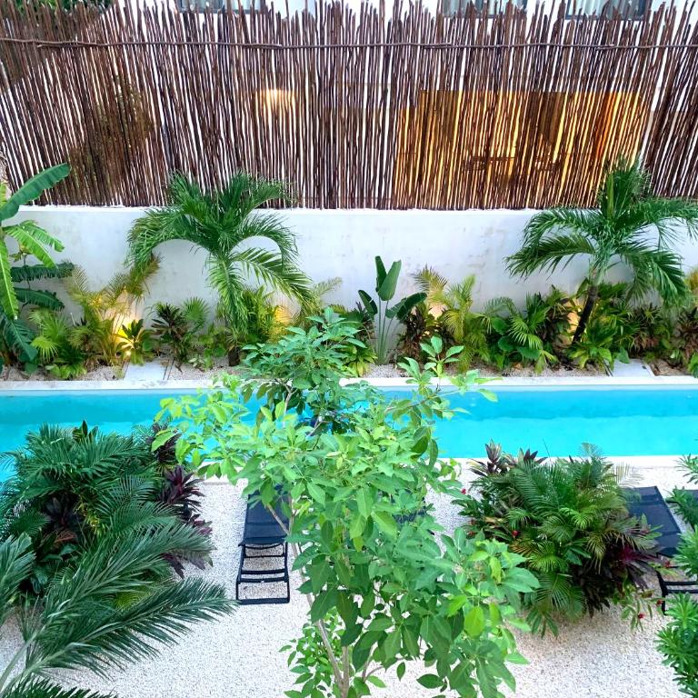 Aldea Zama Loft with pool 10min away from the beach - One-Bedroom Apartment - 44