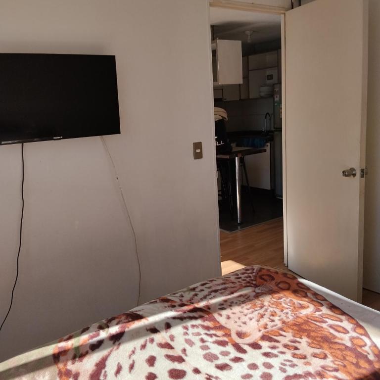 Edificio Vista Laguna Laguna tres pascualas Uss - Apartamento de 1 dormitorio - 9