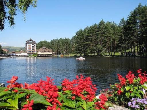 Apartman Nostro Nido Zlatibor - Apartman sa 1 Spavaćom Sobom - 12