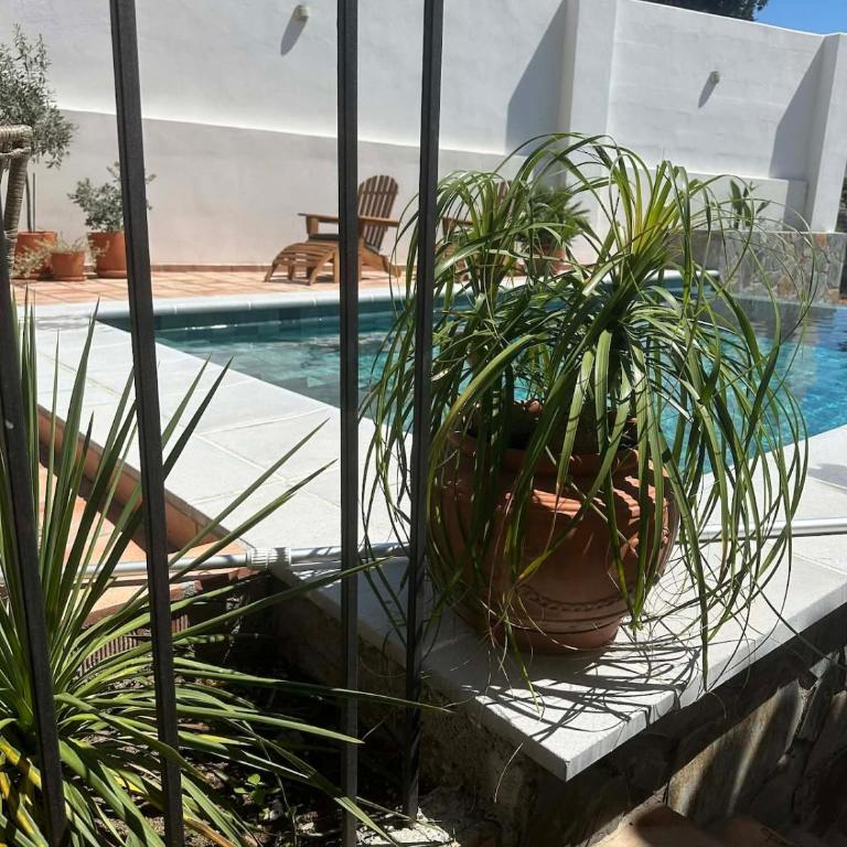 Luxury villa - short walk to beach and city - Casa de 4 dormitorios - 21