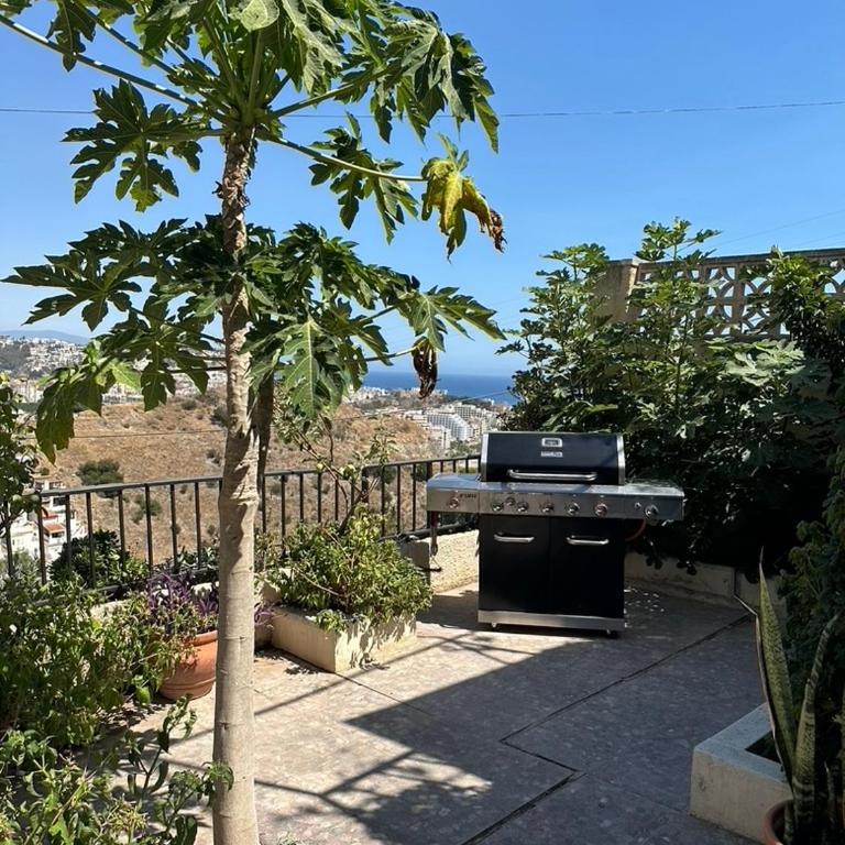 Luxury villa - short walk to beach and city - Casa de 4 dormitorios - 22