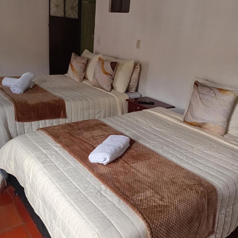 Aparta Hotel Eucalyptus - Habitación Triple con vistas a la montaña - 4