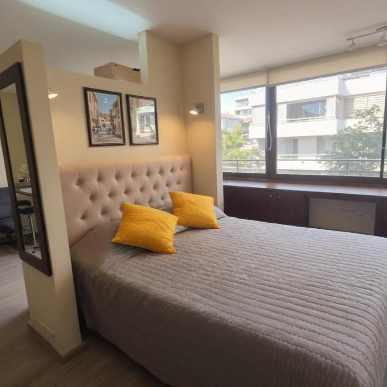 Oceana Suites Santiago Providencia - Apartamento de 1 dormitorio con vistas - 8