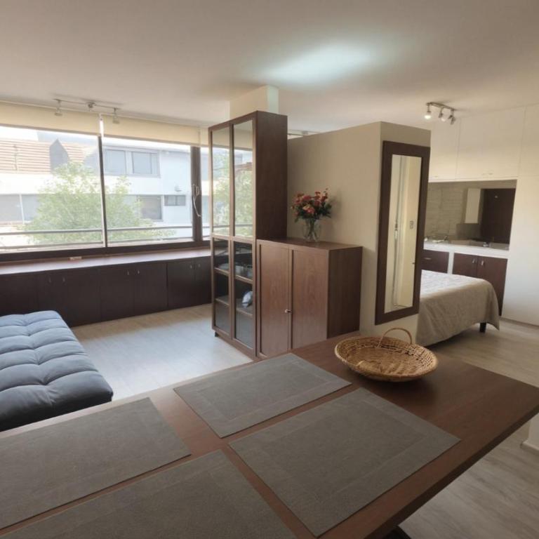 Oceana Suites Santiago Providencia - Apartamento de 1 dormitorio con vistas - 2