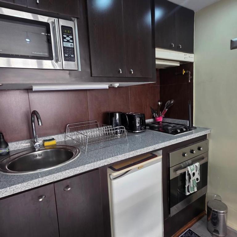 Oceana Suites Santiago Providencia - Apartamento de 1 dormitorio con vistas - 4