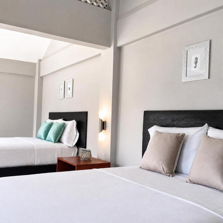 Casa Reforma - Villa de 1 dormitorio - 24
