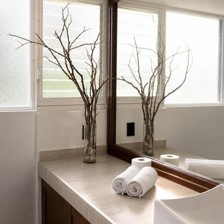 Casa Reforma - Villa de 1 dormitorio - 100