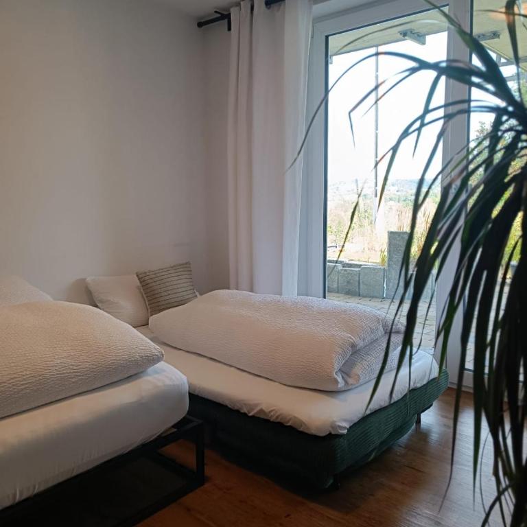 Altholzapartment in Kempten - Apartment mit 1 Schlafzimmer - 10
