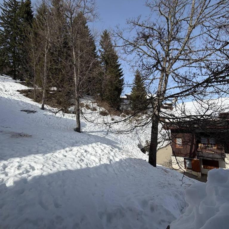Appartement confortable, vue montagne - 5 pers. - Appartement 1 Chambre - 14