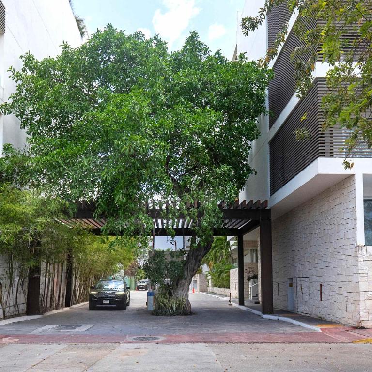 Rooftop Pool & Stylish Retreat in Playa del Carmen - Apartamento - 17