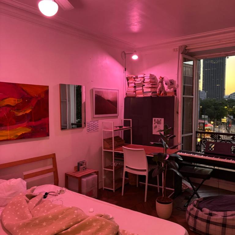 Charming flat, Saint-Germain & Luxembourg - Appartement 1 Chambre - 10