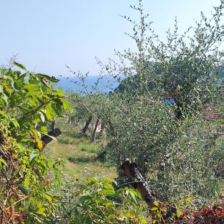 Casa Solarolo - peaceful retreat in Moneglia - Appartamento con 3 Camere da Letto - 13