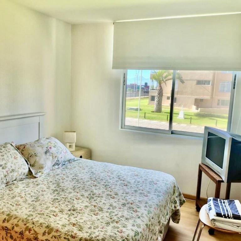 Maravilloso piso bajo primera linea Av del Mar - Apartamento - 7