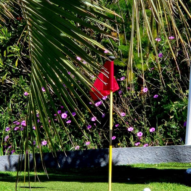 Villa avec piscine et mini-golf - Villa - 67
