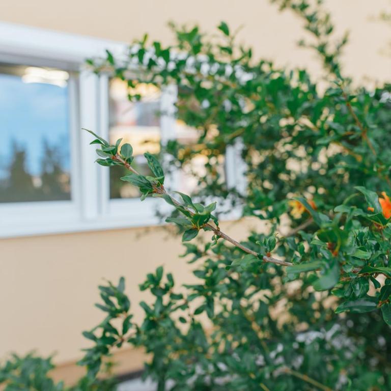 Eko-Una - Apartman sa 1 Spavaćom Sobom - 57