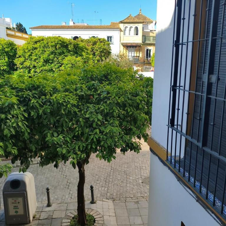 Apartamento El Torero Plaza Santa Cruz 4 - Apartamento - 8