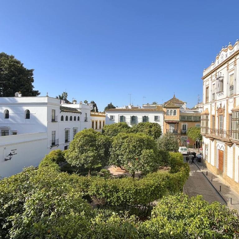 Apartamento El Torero Plaza Santa Cruz 4 - Apartamento - 26