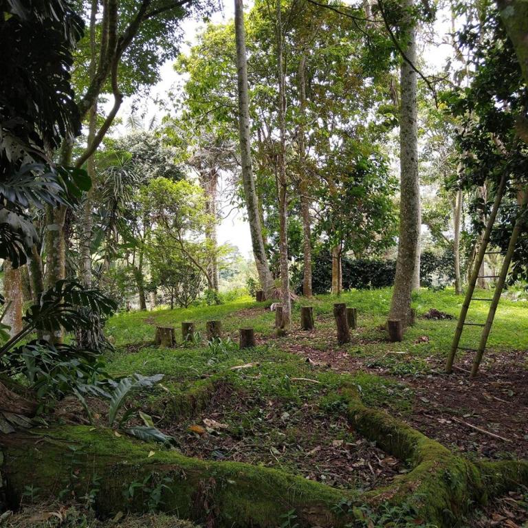 IRUA Finca Campestre - Arquitectura Tradicional - Casa de 4 dormitorios - 28