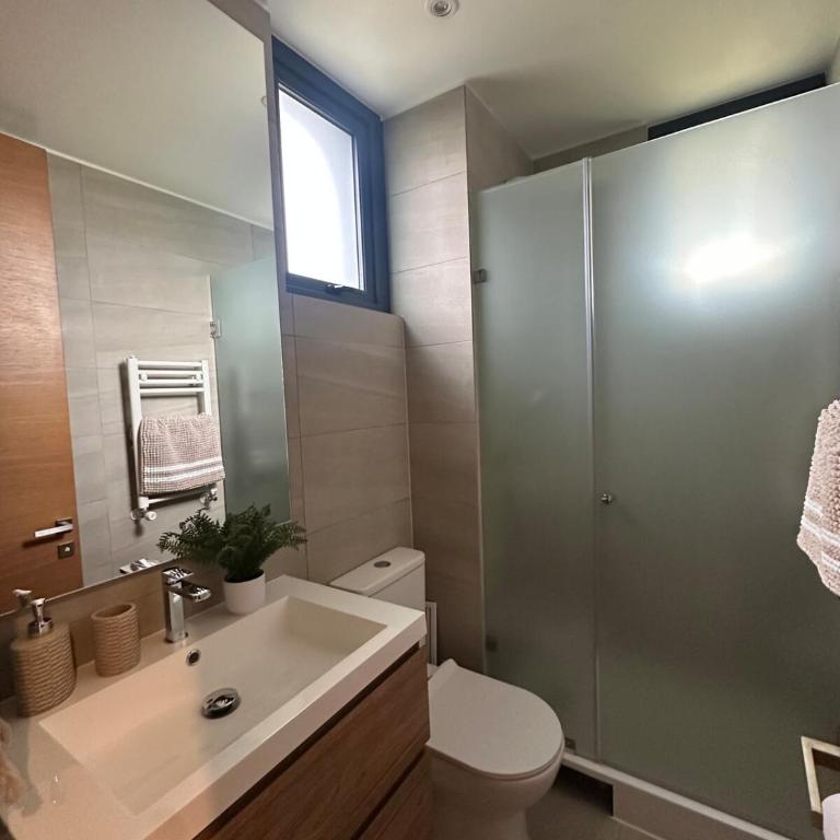 Departamento en Villarrica - Apartamento de 3 dormitorios con vistas al lago - 14
