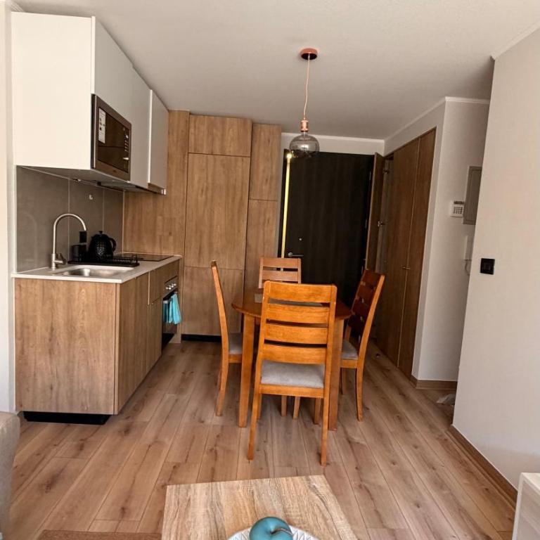 Departamento 2D2B Santa Lucía - Apartamento de 1 dormitorio - 17