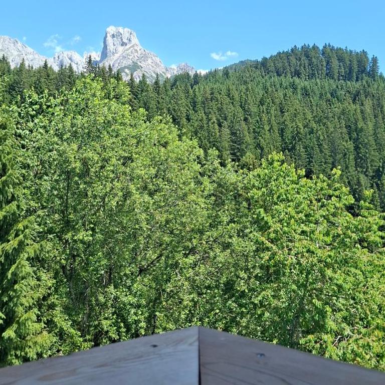 Kleinmauerreith Alpine Hideaway am Gosaukamm, Berg-Apartment - Apartment mit 3 Schlafzimmern - 9