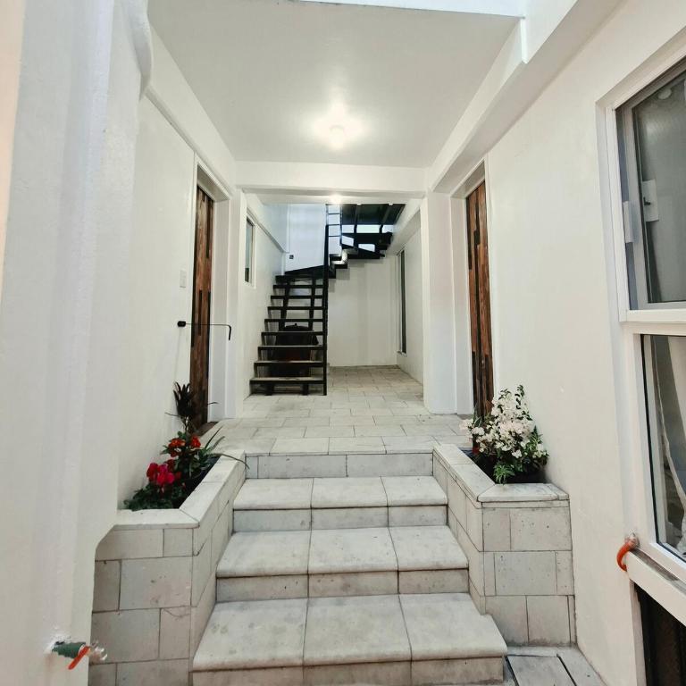 Casa Avelina Suite 103, Cocina, AC, baño privado - Appartement 1 Chambre - 10