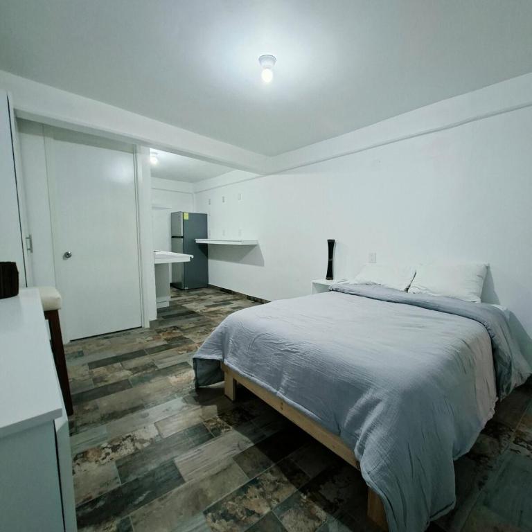 Casa Avelina Suite 103, Cocina, AC, baño privado - Appartement 1 Chambre - 11