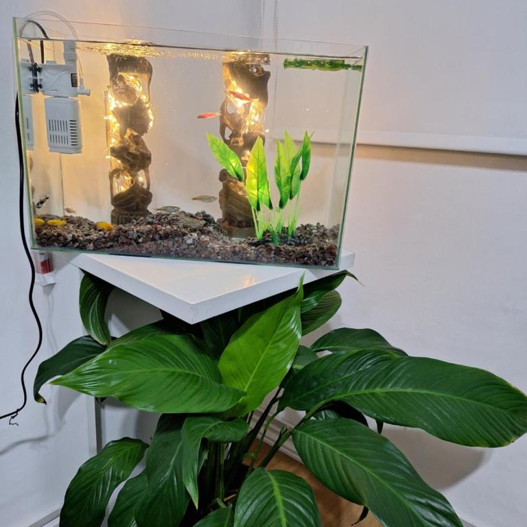 Mai - One-Bedroom Apartment - 18