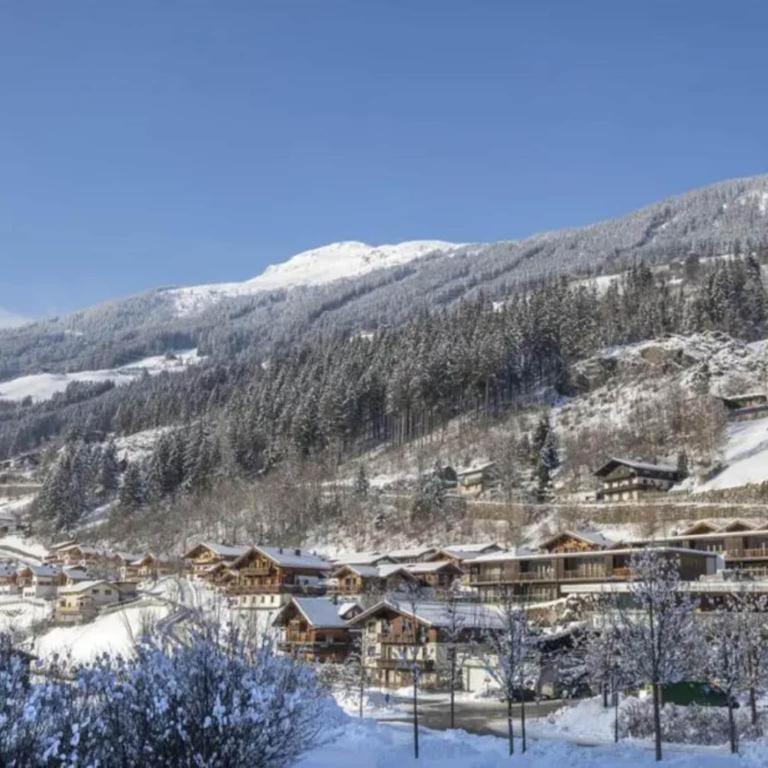 Schoneben Alpine Holiday Home - Maison de Vacances 4 Chambres - 35