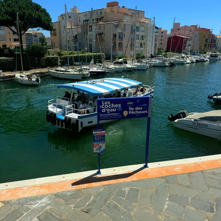 Charmant T2 proche port ! Terrasse plancha wifi ! - Apartment mit 1 Schlafzimmer - 8