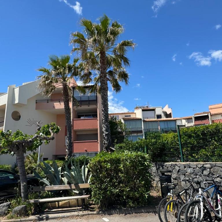 Charmant T2 proche port ! Terrasse plancha wifi ! - Apartment mit 1 Schlafzimmer - 13