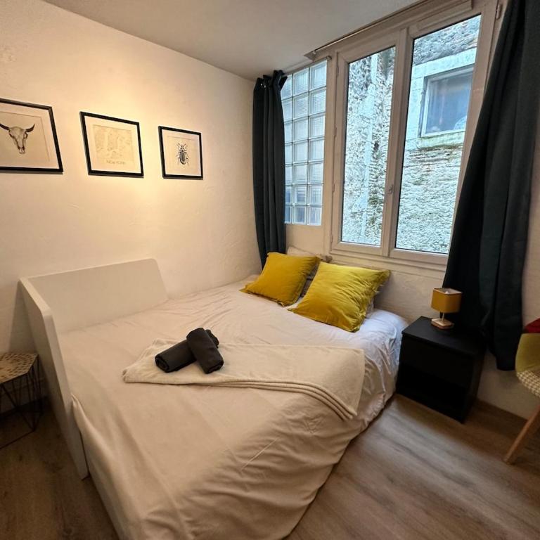 Cozy studio en centre ville - Appartement 1 Chambre - 5