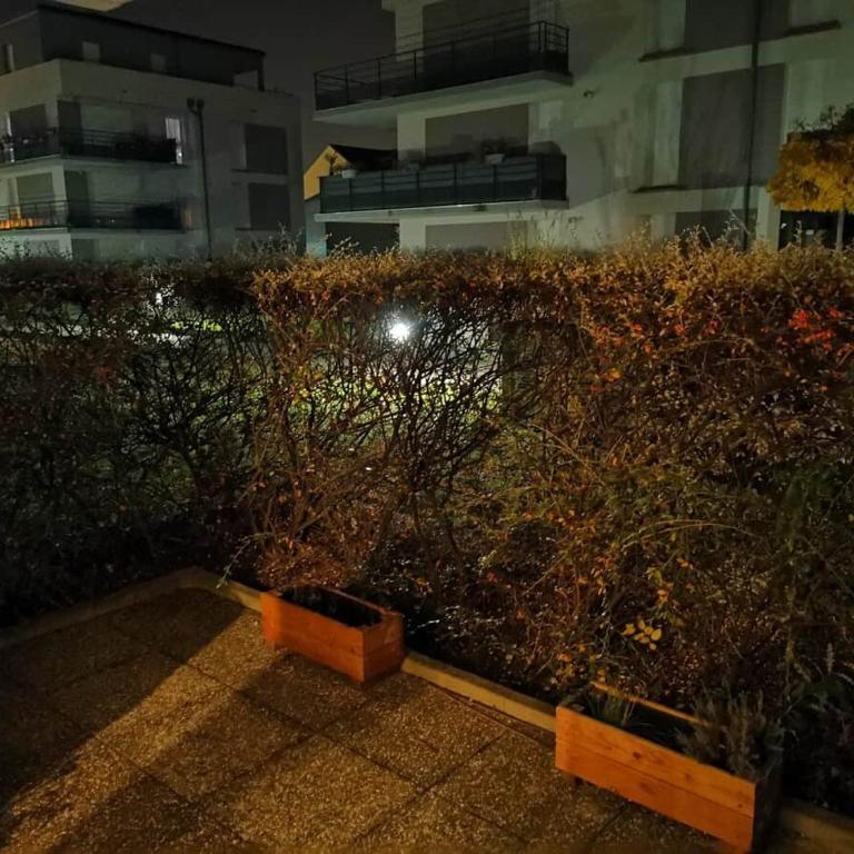Appartement 60 m² avec parking – proche centre de Colmar - Appartement 2 Chambres - 12