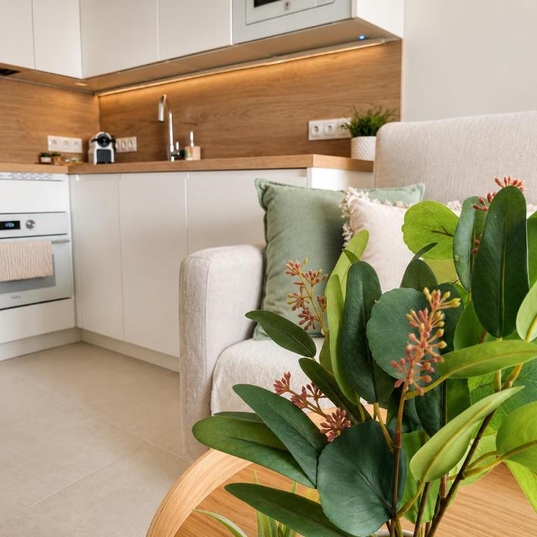 Molly Beach Luxe - Apartamento de 1 dormitorio - 8