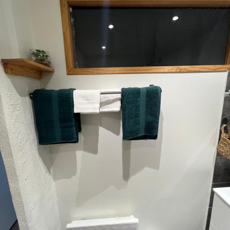 Appartement cosy à 150m du télécabine du Prorel - Appartement 1 Chambre - 11
