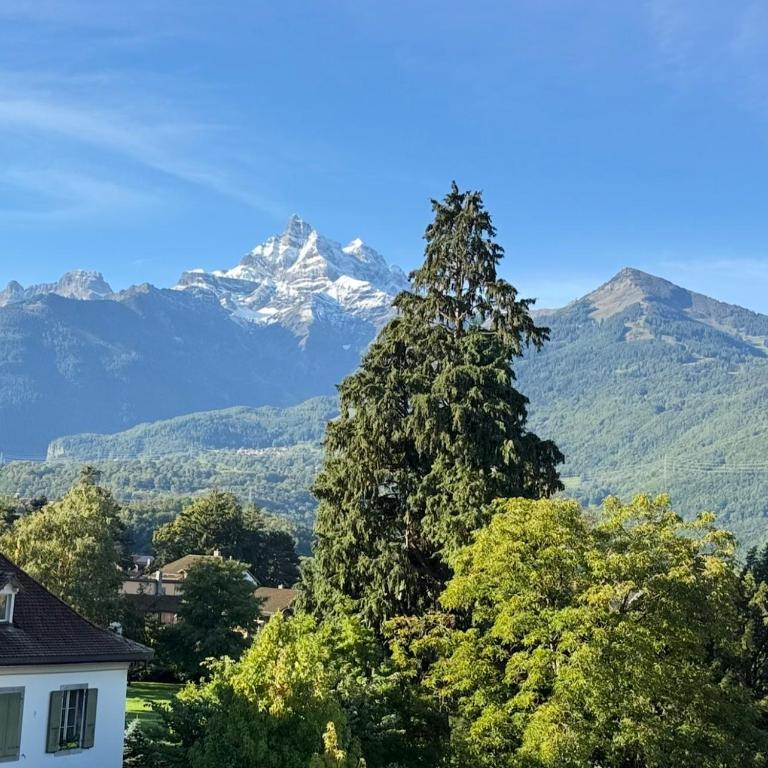Rare Appartement entier Centre - Apartment mit 1 Schlafzimmer - 1