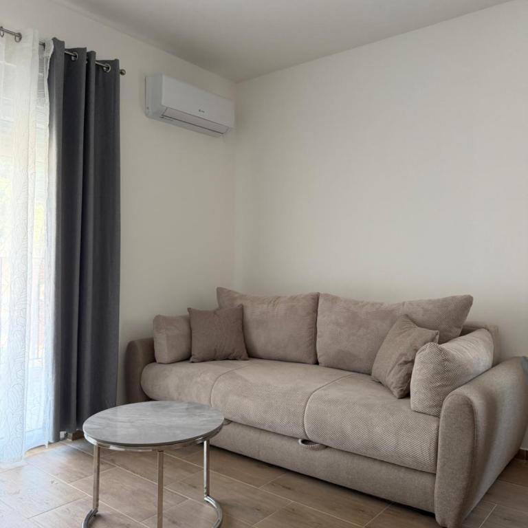 Apartments Petović - One-Bedroom Apartment - 9