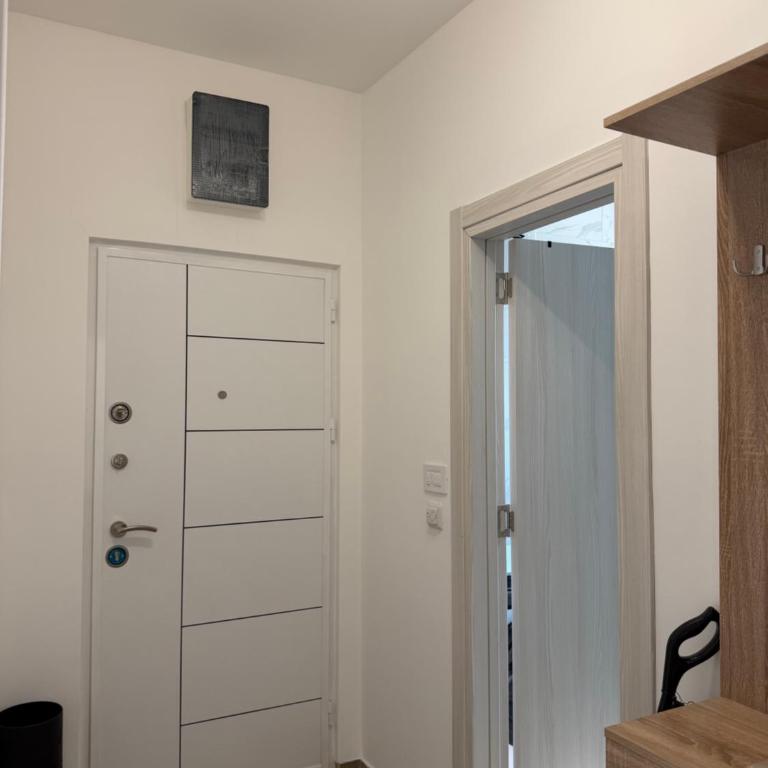 Apartments Petović - One-Bedroom Apartment - 13