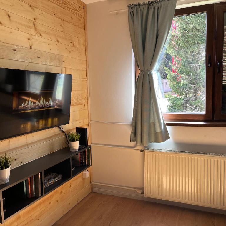 SKI GOAT Kopaonik Centar vila Nikola - Apartman sa 1 Spavaćom Sobom - 9