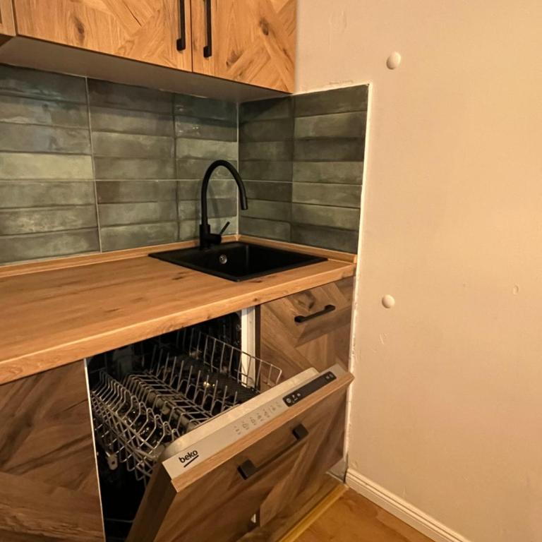 SKI GOAT Kopaonik Centar vila Nikola - Apartman sa 1 Spavaćom Sobom - 10